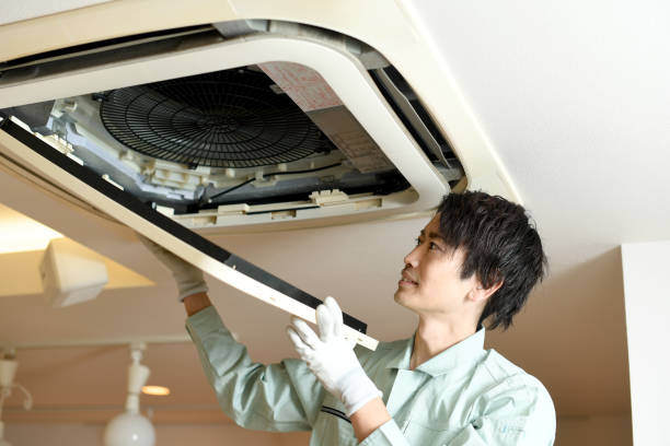 Best Air Duct Cleaning Near Me  in Freeland, PA