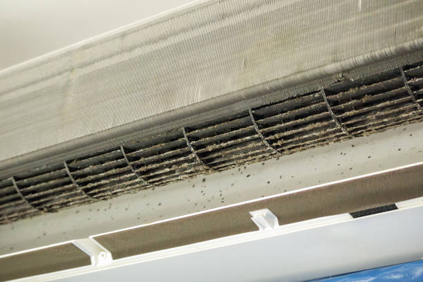 Best Best Air Duct Cleaning Company  in Freeland, PA